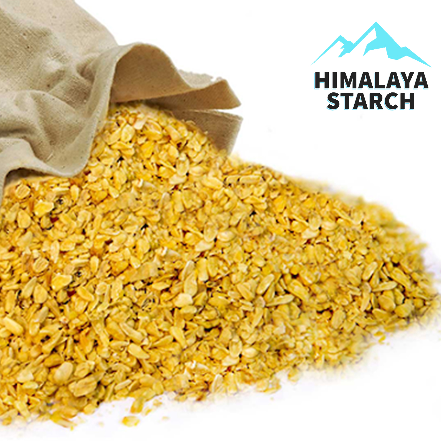 Maize Germ