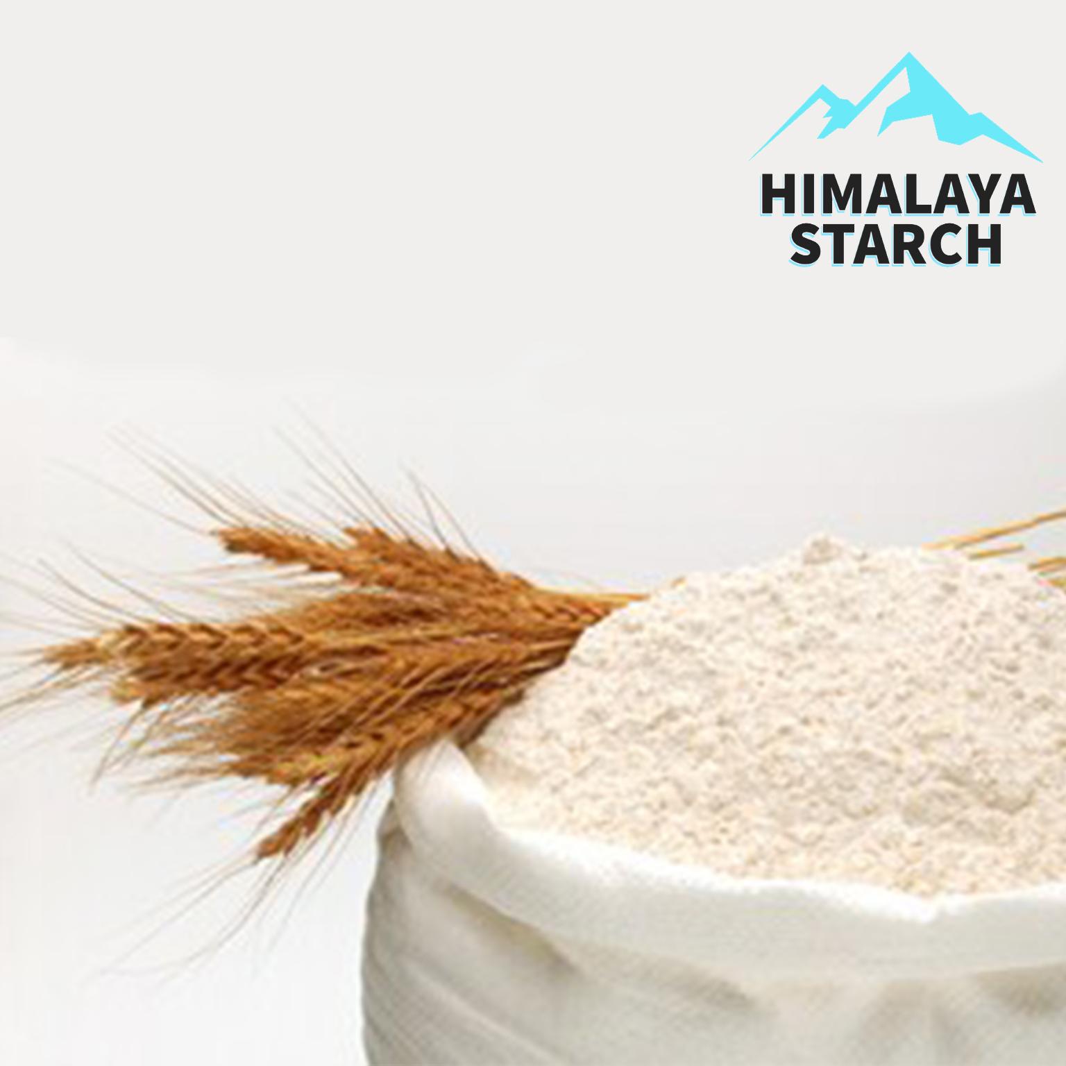 Wheat Gluten